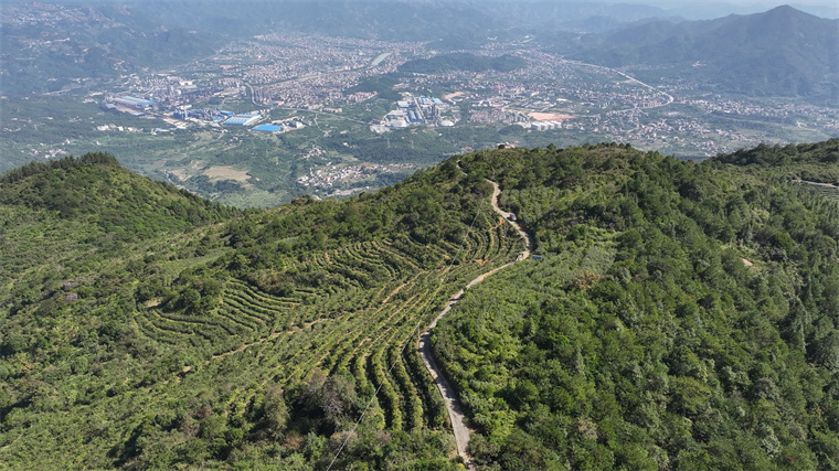 微信图片_20240510122906.jpg